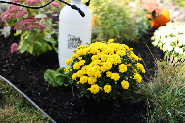 Flo-Master by Hudson® 2 Gallon Lawn & Garden Sprayer - Image 7
